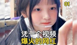 盘点网红爆料视频大全,揭秘娱乐圈幕后真相